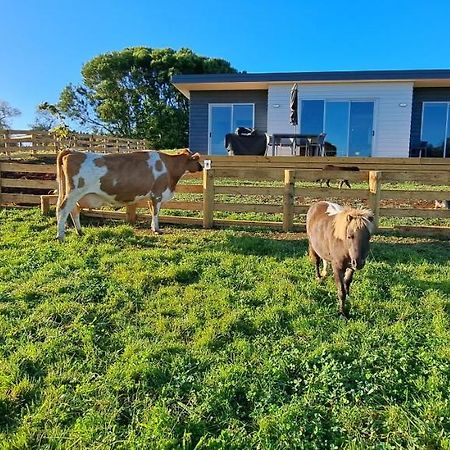 Country Comfort - Only 10 Minutes From Hamilton Cbd Luaran gambar