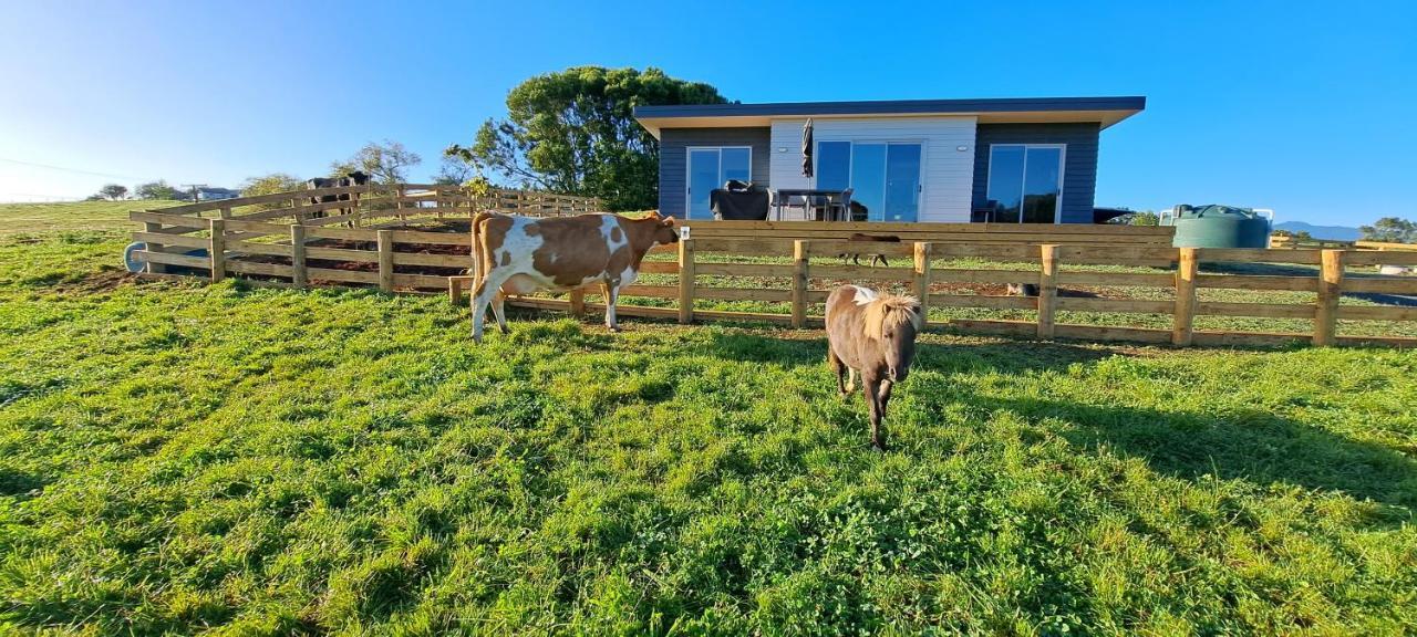 Country Comfort - Only 10 Minutes From Hamilton Cbd Luaran gambar