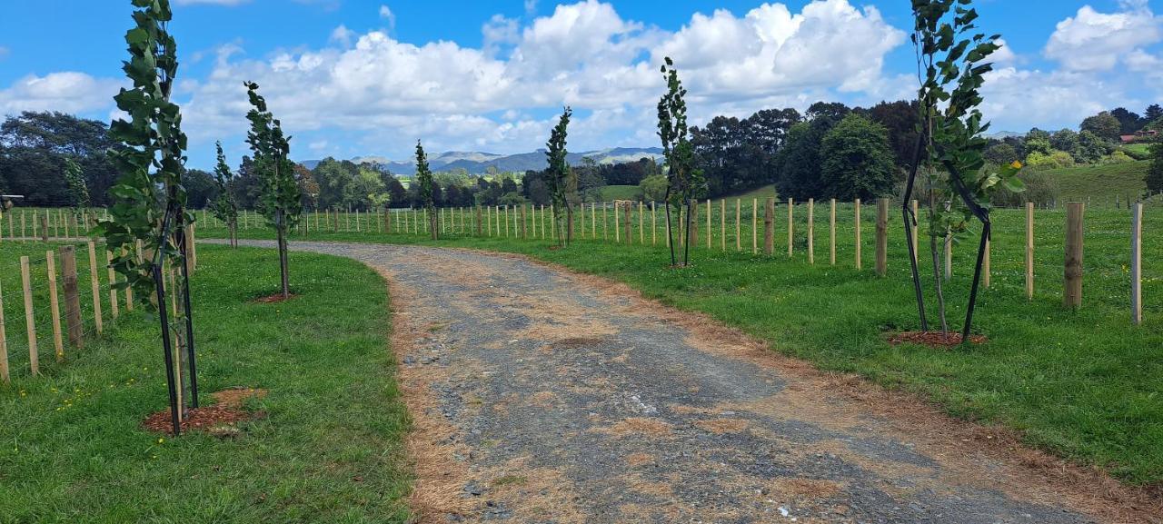 Country Comfort - Only 10 Minutes From Hamilton Cbd Luaran gambar