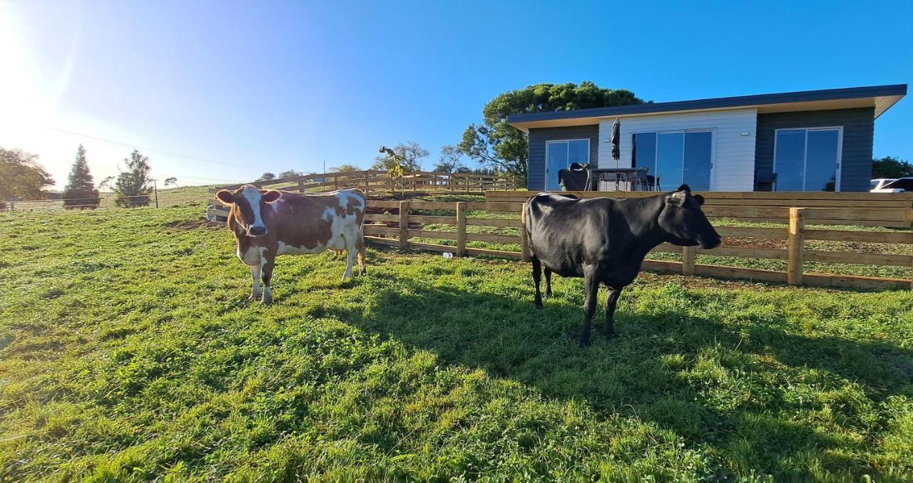 Country Comfort - Only 10 Minutes From Hamilton Cbd Luaran gambar