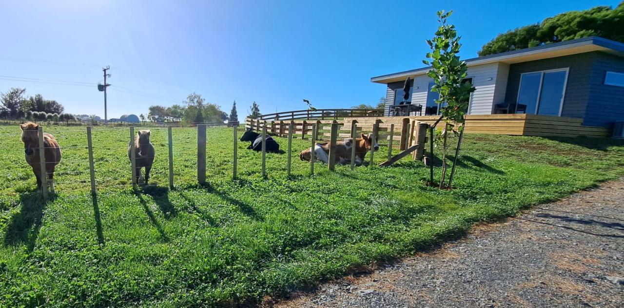 Country Comfort - Only 10 Minutes From Hamilton Cbd Luaran gambar