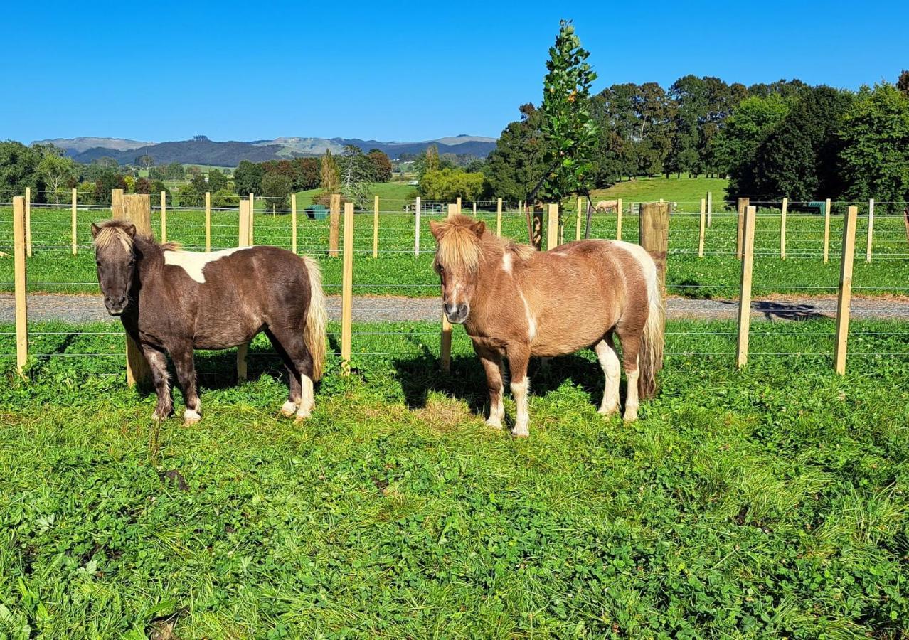 Country Comfort - Only 10 Minutes From Hamilton Cbd Luaran gambar