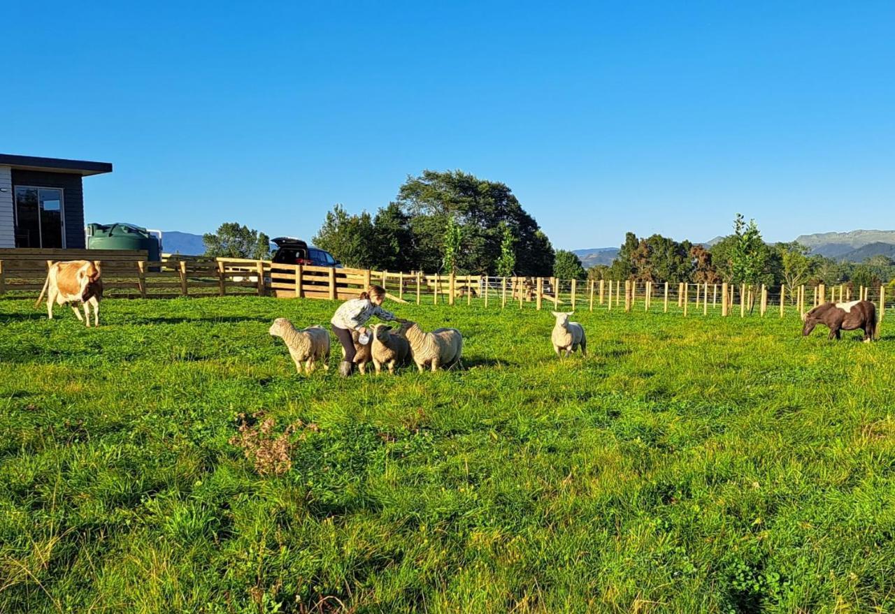 Country Comfort - Only 10 Minutes From Hamilton Cbd Luaran gambar