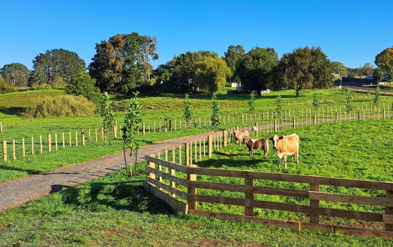 Country Comfort - Only 10 Minutes From Hamilton Cbd Luaran gambar