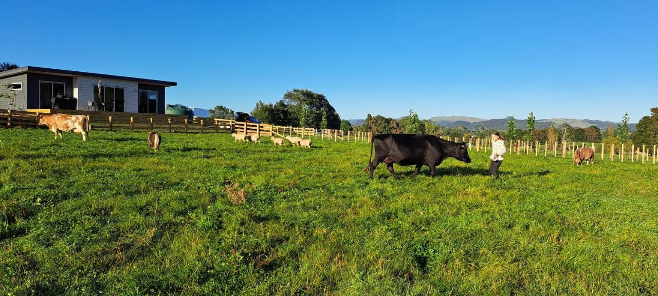 Country Comfort - Only 10 Minutes From Hamilton Cbd Luaran gambar